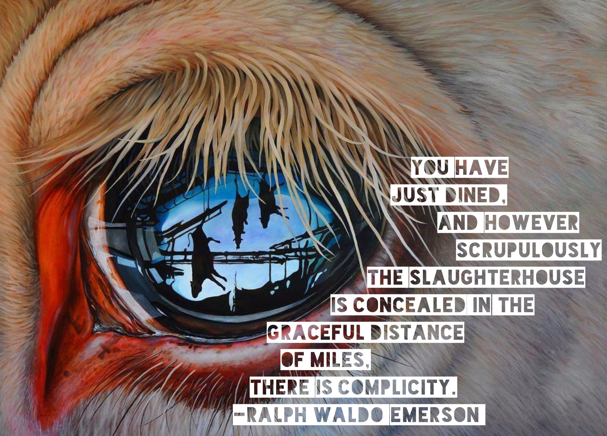 rwe-slaughterhouse